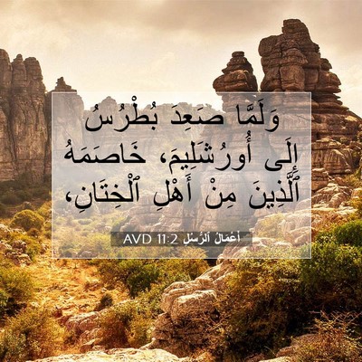 Picture 07 - أَعْمَالُ ٱلرُّسُلِ 11:2 AVD - وَلَمَّا صَعِدَ بُطْرُسُ - Bible Verse Picture