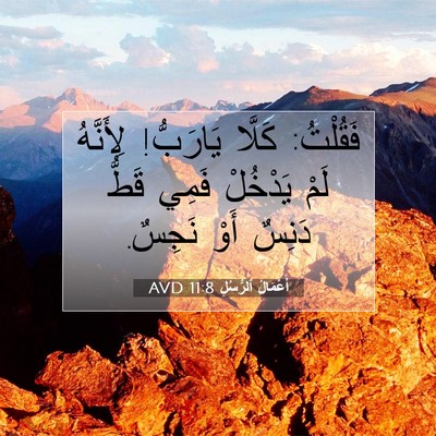 Picture 07 - أَعْمَالُ ٱلرُّسُلِ 11:8 AVD - فَقُلْتُ: كَلَّا يَارَبُّ! - Bible Verse Picture