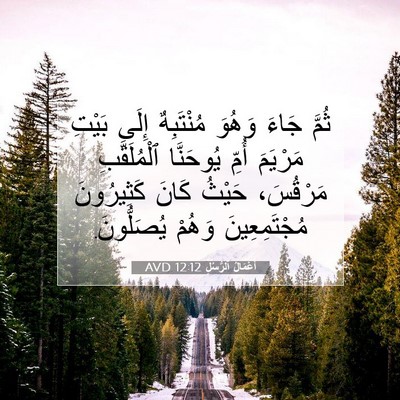 Picture 07 - أَعْمَالُ ٱلرُّسُلِ 12:12 AVD - ثُمَّ جَاءَ وَهُوَ - Bible Verse Picture