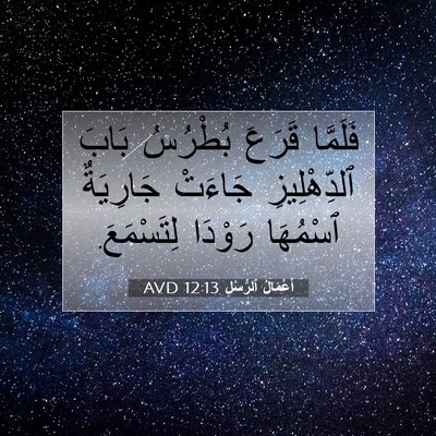 Picture 07 - أَعْمَالُ ٱلرُّسُلِ 12:13 AVD - فَلَمَّا قَرَعَ بُطْرُسُ - Bible Verse Picture