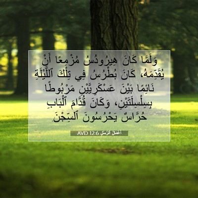 Picture 07 - أَعْمَالُ ٱلرُّسُلِ 12:6 AVD - وَلَمَّا كَانَ هِيرُودُسُ - Bible Verse Picture