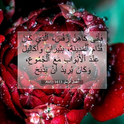 Picture 07 - أَعْمَالُ ٱلرُّسُلِ 14:13 AVD - فَأَتَى كَاهِنُ زَفْسَ، - Bible Verse Picture