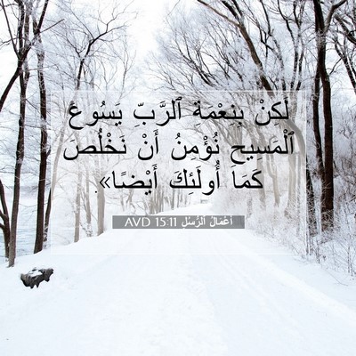 Picture 07 - أَعْمَالُ ٱلرُّسُلِ 15:11 AVD - لَكِنْ بِنِعْمَةِ - Bible Verse Picture