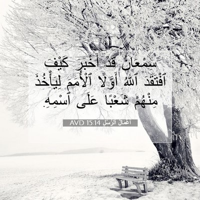 Picture 07 - أَعْمَالُ ٱلرُّسُلِ 15:14 AVD - سِمْعَانُ قَدْ أَخْبَرَ - Bible Verse Picture