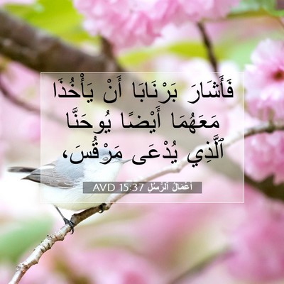 Picture 07 - أَعْمَالُ ٱلرُّسُلِ 15:37 AVD - فَأَشَارَ بَرْنَابَا أَنْ - Bible Verse Picture
