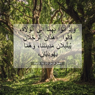 Picture 07 - أَعْمَالُ ٱلرُّسُلِ 16:20 AVD - وَإِذْ أَتَوْا بِهِمَا - Bible Verse Picture