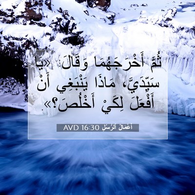 Picture 07 - أَعْمَالُ ٱلرُّسُلِ 16:30 AVD - ثُمَّ أَخْرَجَهُمَا - Bible Verse Picture