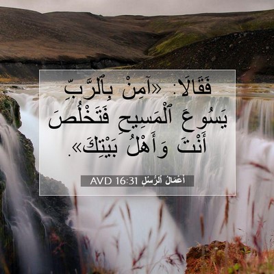 Picture 07 - أَعْمَالُ ٱلرُّسُلِ 16:31 AVD - فَقَالَا: «آمِنْ - Bible Verse Picture