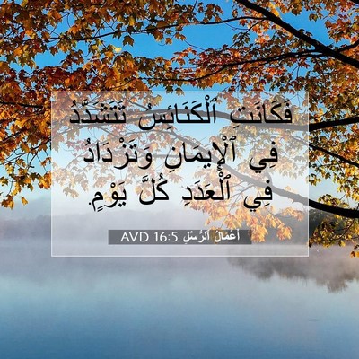 Picture 07 - أَعْمَالُ ٱلرُّسُلِ 16:5 AVD - فَكَانَتِ ٱلْكَنَائِسُ - Bible Verse Picture