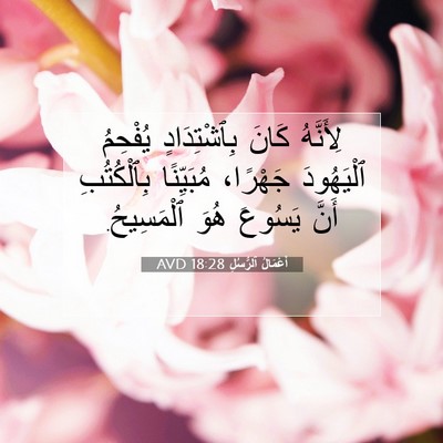 Picture 07 - أَعْمَالُ ٱلرُّسُلِ 18:28 AVD - لِأَنَّهُ كَانَ - Bible Verse Picture