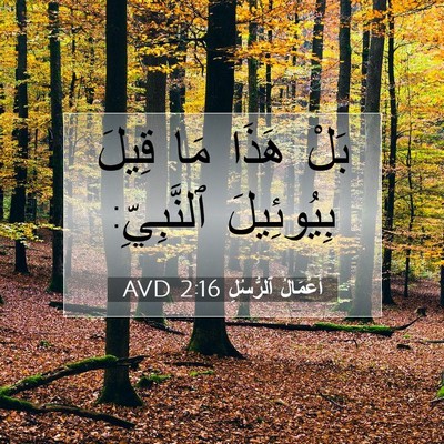 Picture 07 - أَعْمَالُ ٱلرُّسُلِ 2:16 AVD - بَلْ هَذَا مَا قِيلَ - Bible Verse Picture