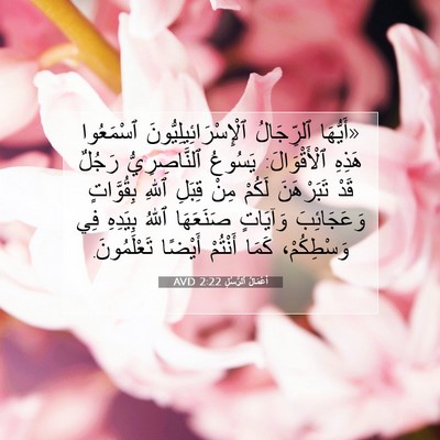 Picture 07 - أَعْمَالُ ٱلرُّسُلِ 2:22 AVD - «أَيُّهَا ٱلرِّجَالُ - Bible Verse Picture
