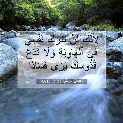 Picture 07 - أَعْمَالُ ٱلرُّسُلِ 2:27 AVD - لِأَنَّكَ لَنْ تَتْرُكَ - Bible Verse Picture