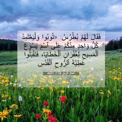 Picture 07 - أَعْمَالُ ٱلرُّسُلِ 2:38 AVD - فَقَالَ لَهُمْ بُطْرُسُ: - Bible Verse Picture