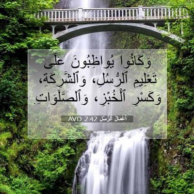 Picture 07 - أَعْمَالُ ٱلرُّسُلِ 2:42 AVD - وَكَانُوا يُواظِبُونَ - Bible Verse Picture