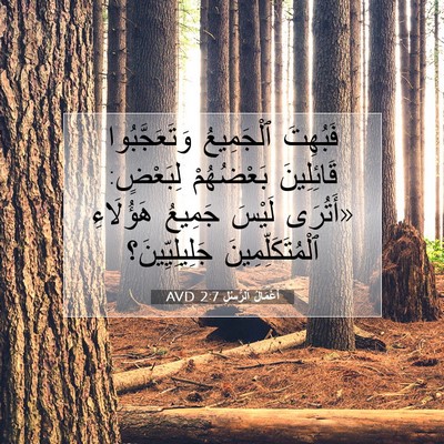 Picture 07 - أَعْمَالُ ٱلرُّسُلِ 2:7 AVD - فَبُهِتَ ٱلْجَمِيعُ - Bible Verse Picture