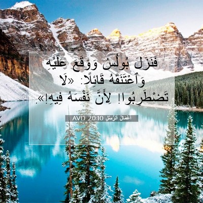 Picture 07 - أَعْمَالُ ٱلرُّسُلِ 20:10 AVD - فَنَزَلَ بُولُسُ وَوَقَعَ - Bible Verse Picture