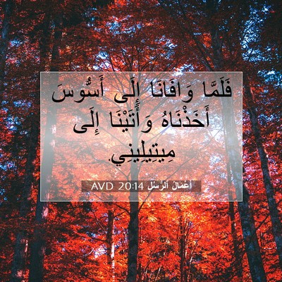 Picture 07 - أَعْمَالُ ٱلرُّسُلِ 20:14 AVD - فَلَمَّا وَافَانَا إِلَى - Bible Verse Picture
