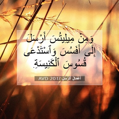 Picture 07 - أَعْمَالُ ٱلرُّسُلِ 20:17 AVD - وَمِنْ مِيلِيتُسَ - Bible Verse Picture