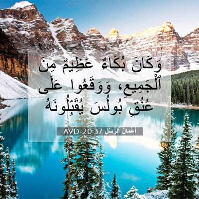 Picture 07 - أَعْمَالُ ٱلرُّسُلِ 20:37 AVD - وَكَانَ بُكَاءٌ عَظِيمٌ - Bible Verse Picture