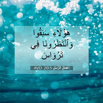 Picture 07 - أَعْمَالُ ٱلرُّسُلِ 20:5 AVD - هَؤُلَاءِ سَبَقُوا - Bible Verse Picture