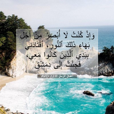 Picture 07 - أَعْمَالُ ٱلرُّسُلِ 22:11 AVD - وَإِذْ كُنْتُ لَا أُبْصِرُ - Bible Verse Picture