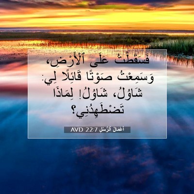 Picture 07 - أَعْمَالُ ٱلرُّسُلِ 22:7 AVD - فَسَقَطْتُ عَلَى - Bible Verse Picture