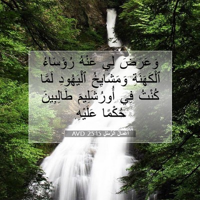 Picture 07 - أَعْمَالُ ٱلرُّسُلِ 25:15 AVD - وَعَرَضَ لِي عَنْهُ - Bible Verse Picture