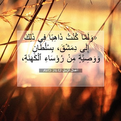 Picture 07 - أَعْمَالُ ٱلرُّسُلِ 26:12 AVD - «وَلَمَّا كُنْتُ ذَاهِبًا - Bible Verse Picture