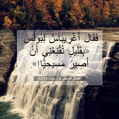 Picture 07 - أَعْمَالُ ٱلرُّسُلِ 26:28 AVD - فَقَالَ أَغْرِيبَاسُ - Bible Verse Picture