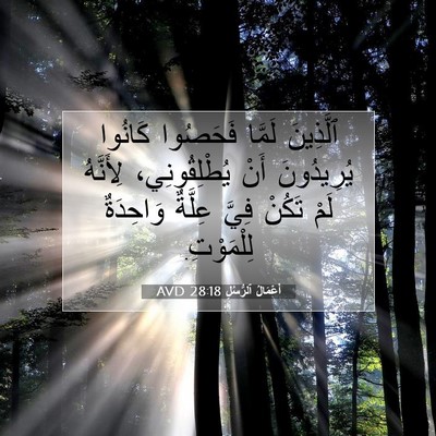 Picture 07 - أَعْمَالُ ٱلرُّسُلِ 28:18 AVD - ٱلَّذِينَ لَمَّا فَحَصُوا - Bible Verse Picture