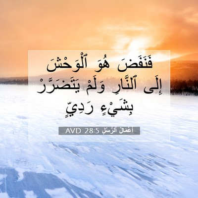 Picture 07 - أَعْمَالُ ٱلرُّسُلِ 28:5 AVD - فَنَفَضَ هُوَ ٱلْوَحْشَ - Bible Verse Picture