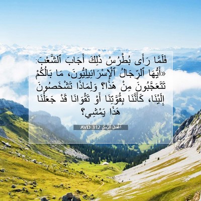 Picture 07 - أَعْمَالُ ٱلرُّسُلِ 3:12 AVD - فَلَمَّا رَأَى بُطْرُسُ - Bible Verse Picture
