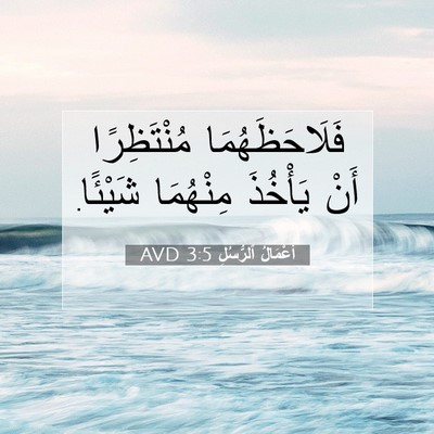 Picture 07 - أَعْمَالُ ٱلرُّسُلِ 3:5 AVD - فَلَاحَظَهُمَا - Bible Verse Picture