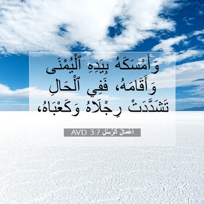 Picture 07 - أَعْمَالُ ٱلرُّسُلِ 3:7 AVD - وَأَمْسَكَهُ بِيَدِهِ - Bible Verse Picture