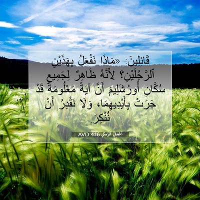 Picture 07 - أَعْمَالُ ٱلرُّسُلِ 4:16 AVD - قَائِلِينَ: «مَاذَا - Bible Verse Picture