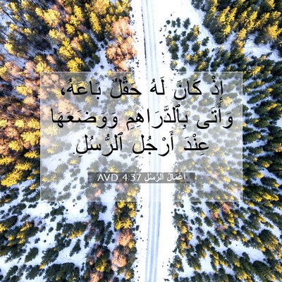 Picture 07 - أَعْمَالُ ٱلرُّسُلِ 4:37 AVD - إِذْ كَانَ لَهُ حَقْلٌ - Bible Verse Picture