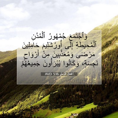 Picture 07 - أَعْمَالُ ٱلرُّسُلِ 5:16 AVD - وَٱجْتَمَعَ جُمْهُورُ - Bible Verse Picture