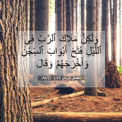 Picture 07 - أَعْمَالُ ٱلرُّسُلِ 5:19 AVD - وَلَكِنَّ مَلَاكَ - Bible Verse Picture