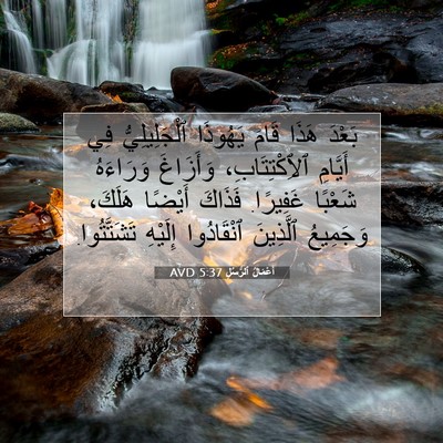 Picture 07 - أَعْمَالُ ٱلرُّسُلِ 5:37 AVD - بَعْدَ هَذَا قَامَ - Bible Verse Picture
