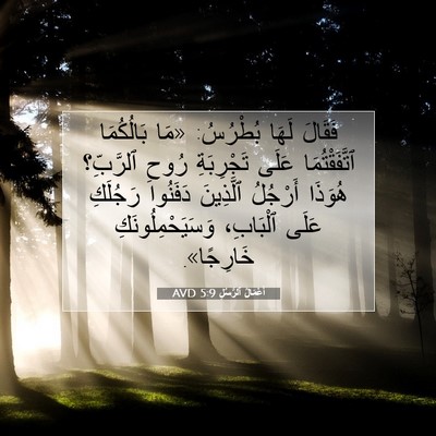 Picture 07 - أَعْمَالُ ٱلرُّسُلِ 5:9 AVD - فَقَالَ لَهَا بُطْرُسُ: - Bible Verse Picture