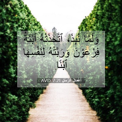 Picture 07 - أَعْمَالُ ٱلرُّسُلِ 7:21 AVD - وَلَمَّا نُبِذَ، - Bible Verse Picture