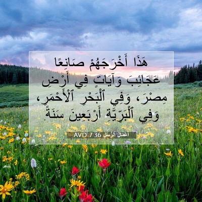 Picture 07 - أَعْمَالُ ٱلرُّسُلِ 7:36 AVD - هَذَا أَخْرَجَهُمْ - Bible Verse Picture