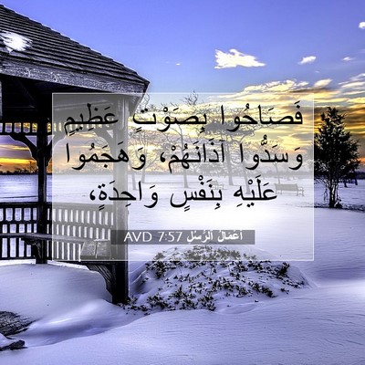 Picture 07 - أَعْمَالُ ٱلرُّسُلِ 7:57 AVD - فَصَاحُوا بِصَوْتٍ - Bible Verse Picture