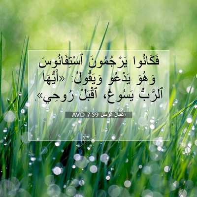 Picture 07 - أَعْمَالُ ٱلرُّسُلِ 7:59 AVD - فَكَانُوا يَرْجُمُونَ - Bible Verse Picture
