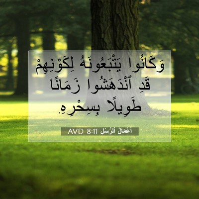 Picture 07 - أَعْمَالُ ٱلرُّسُلِ 8:11 AVD - وَكَانُوا يَتْبَعُونَهُ - Bible Verse Picture