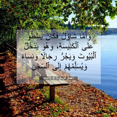 Picture 07 - أَعْمَالُ ٱلرُّسُلِ 8:3 AVD - وَأَمَّا شَاوُلُ فَكَانَ - Bible Verse Picture