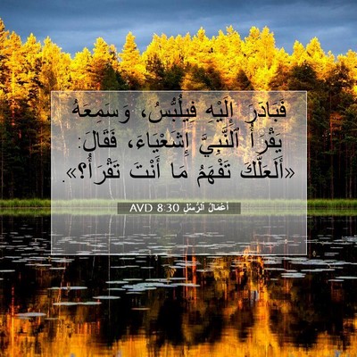 Picture 07 - أَعْمَالُ ٱلرُّسُلِ 8:30 AVD - فَبَادَرَ إِلَيْهِ - Bible Verse Picture