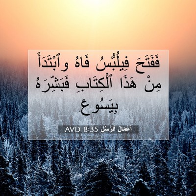 Picture 07 - أَعْمَالُ ٱلرُّسُلِ 8:35 AVD - فَفَتَحَ فِيلُبُّسُ فَاهُ - Bible Verse Picture