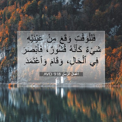 Picture 07 - أَعْمَالُ ٱلرُّسُلِ 9:18 AVD - فَلِلْوَقْتِ وَقَعَ مِنْ - Bible Verse Picture